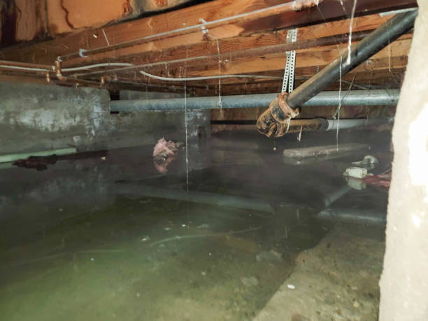 Best Basement water damage restoration  in Sedona, AZ