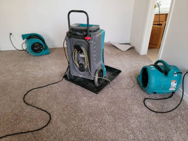 Best 24-hour water damage restoration  in Sedona, AZ