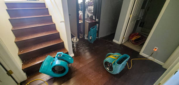 Best Fire Damage Restoration  in Sedona, AZ