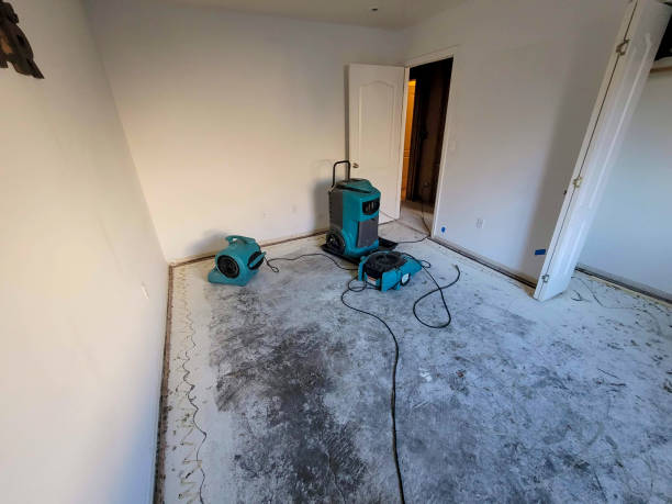Best Water damage restoration near me  in Sedona, AZ