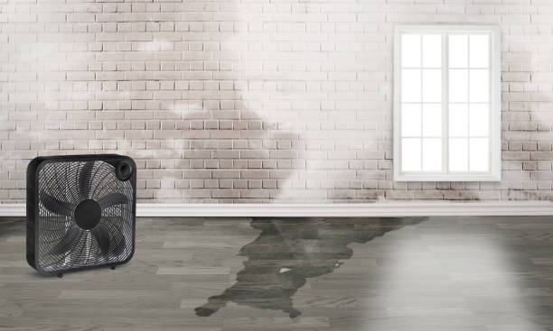 Best Ceiling water damage repair  in Sedona, AZ