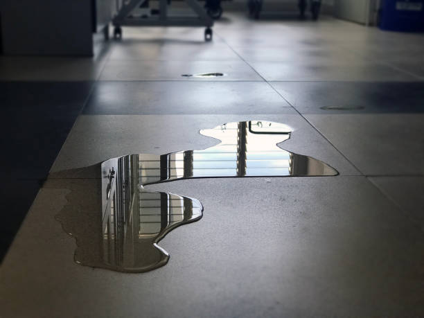 Best Residential water damage restoration  in Sedona, AZ