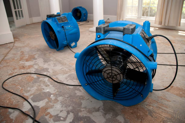 Best Water damage restoration near me  in Sedona, AZ