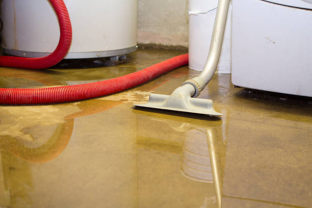Best Professional water damage repair  in Sedona, AZ