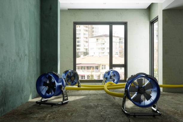 Best Carpet water damage restoration  in Sedona, AZ