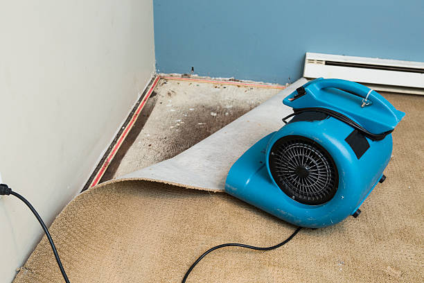 Best Flooded house restoration  in Sedona, AZ